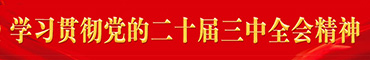 學習貫徹黨的二十屆三中全會精神